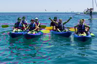 Sesimbra, Arradida Natural Park & ​​Caves Tour - Housity