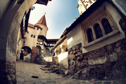 Bucharest: Dracula Castle, Peles Castle & Brasov Guided Tour Guided Tour in Italian