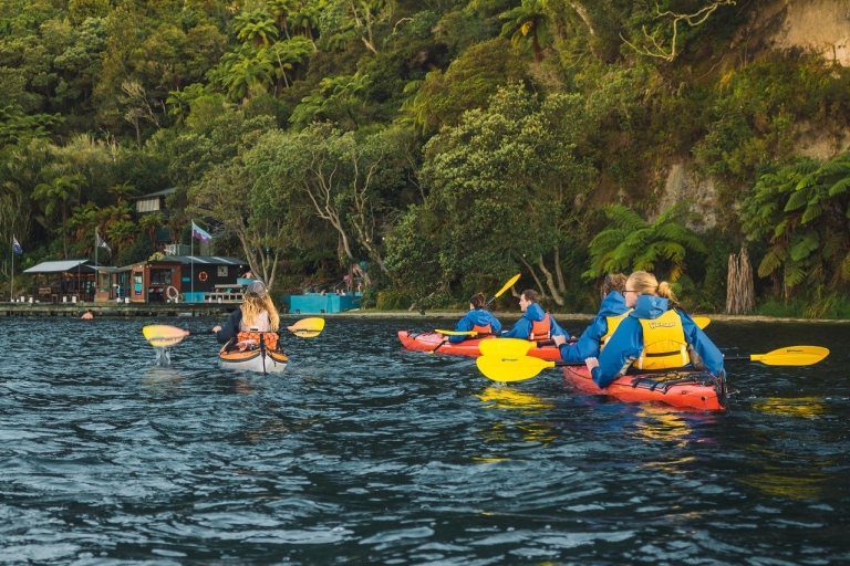 Lago Rotoiti: plancton luminoso, termas naturales y kayak