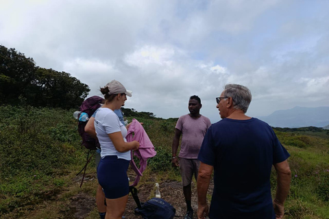 Kandy: Private City Tour by Hybrid Car with Driver