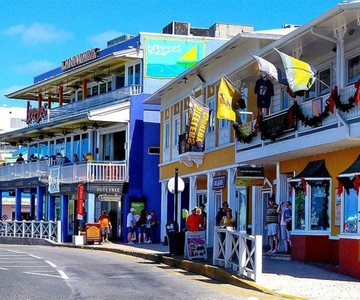 From George Town: Grand Cayman East Island Tour