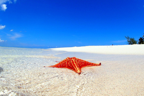 George Town: Starfish Point Beach Guided Tour with Transfer