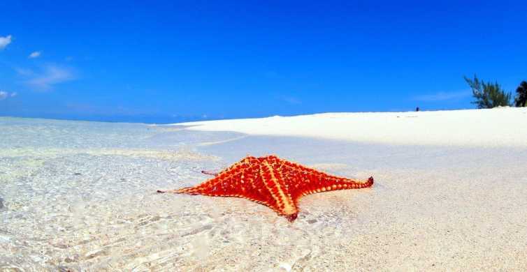 George Town: Starfish Point Beach Guided Tour with Transfer