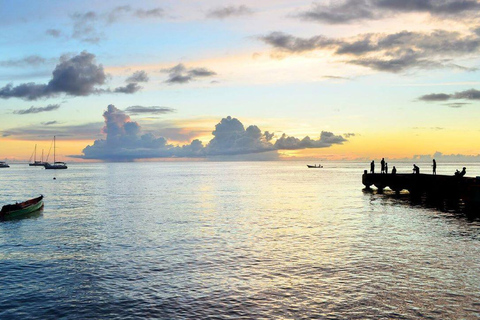 George Town: Wycieczka z przewodnikiem po plaży Starfish Point z transferem