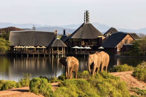 30-Minute Educational Elephant Experience