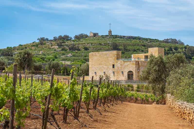 malta vineyard tour