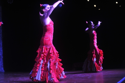 Tenerife: Flamenco Performance at Coliseo teather Standard Ticket