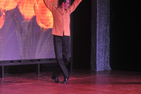 Tenerife: Spectacle de flamenco au théâtre ColiseoBillet Standard