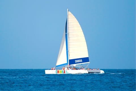 Dunn's River: Catamaran Day Cruise & Snorkeling Tour