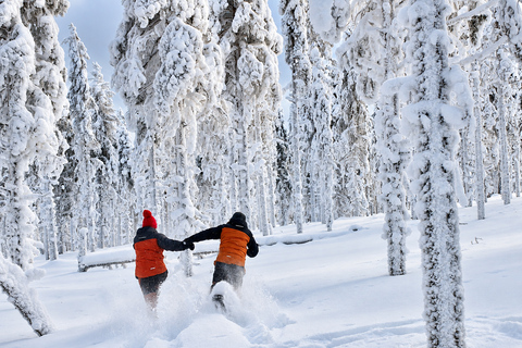 Rovaniemi: Snowshoeing Tour with Wild Lunch and Hotel Pickup