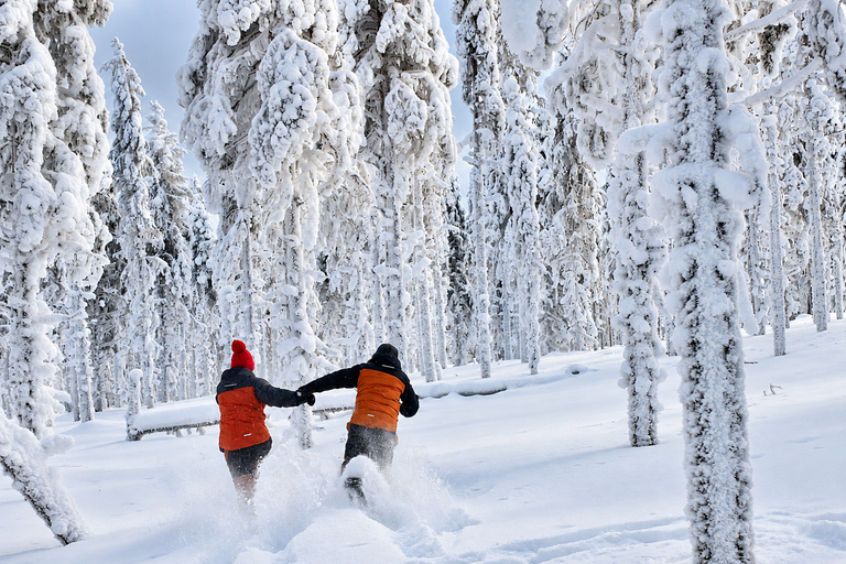 Rovaniemi: Snowshoeing Tour with Wild Lunch and Hotel Pickup
