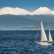 Taupō: Sail Barbary Eco Sailing to the Maori Rock Carvings Taupō: Sail Barbary Eco Sailing to the Maori Rock Carvings
