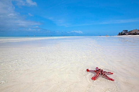 Zanzibar: Dagtrip naar het strand aan de zuidkust met bezoek aan de grot van Salaam