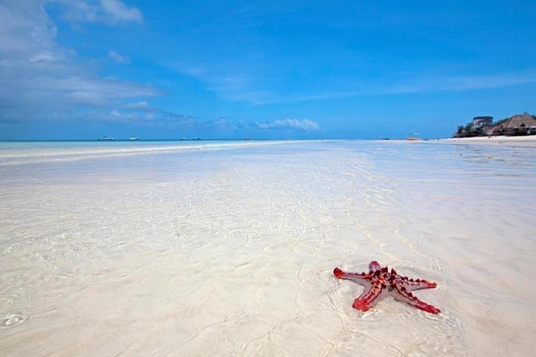 Zanzibar : excursion d&#039;une journée sur la plage de la côte sud avec visite de la grotte de Salaam