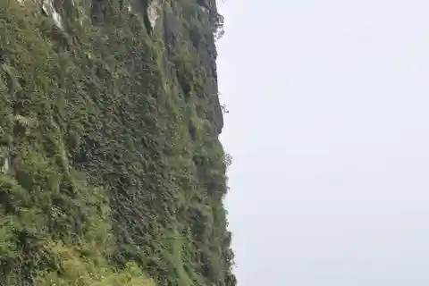 Ninh Binh: Local Farm Trip & Cycling and Cooking Class