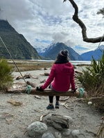 Premium Milford Sound Full Day Tour & Cruise - Housity