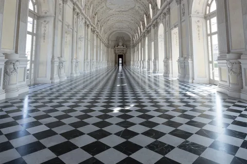 De Turin: visite privée de La Venaria Reale avec billet d'entrée