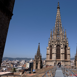 Barcelona: Cathedral of Barcelona Entry Ticket