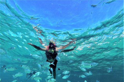 Ibiza: Snorkling, solnedgångsstrand och båttur i grottaIbiza: Snorkling, båttur till grotta &amp; solnedgång på strand