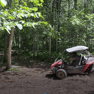 Duluth: Moose Lake Triple Cross Dune Buggy Adventure