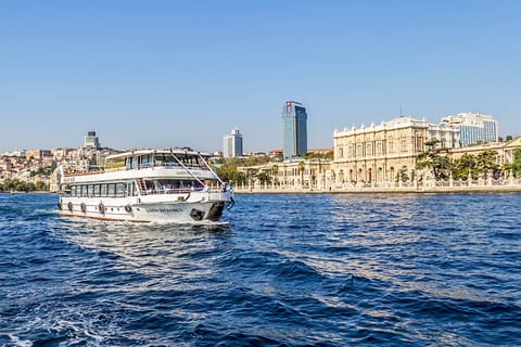 Bosphorus Cruise and Dolmabahçe Palace Tour Full Day