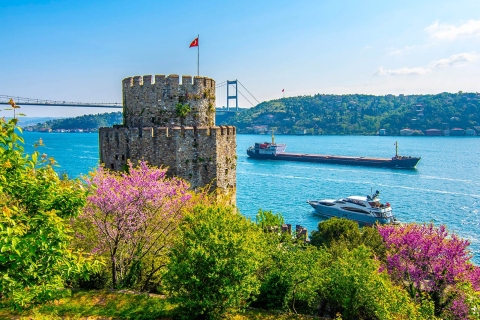Crucero por el Bósforo y visita al palacio de Dolmabahçe Día completo