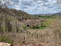 Mazatlán, Aventura em Zipline, Passeios turísticos e degustação de mezcal - Hizvo
