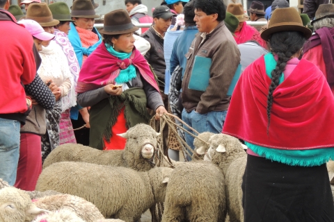 Von Quito aus: Private Tour zum Quilotoa-See mit Transfer und Mittagessen