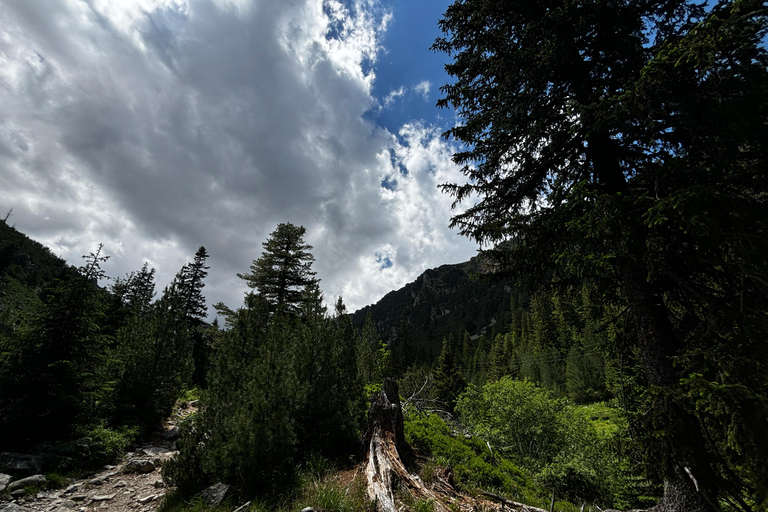 Montagne Rila - refuge de Malyovitsa, excursion d&#039;une journée en petit groupe au départ de SofiaExcursion d&#039;une journée de Sofia à la montagne de Rila (refuge Malyovitsa)