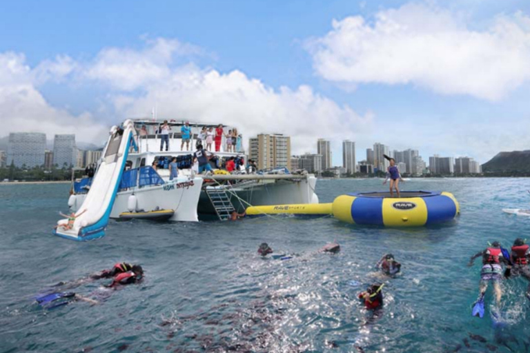 Waikiki: Passeio de mergulho com snorkel de tartaruga 5 em 1 com trasladoWaikiki: viagem de mergulho com tartaruga 5 em 1 com traslado