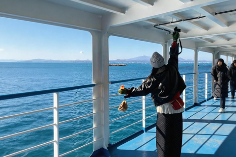 Jeju: Udo Island, Seopjikoji & Hidden Gems Guided Tour