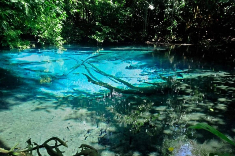 Vanuit Ko Lanta: dagtocht smaragd-poel en warmwaterbronnen