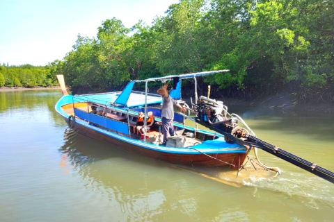 Ko Lanta: Wycieczka po namorzynach w małej grupie łodzią z długim ogonem