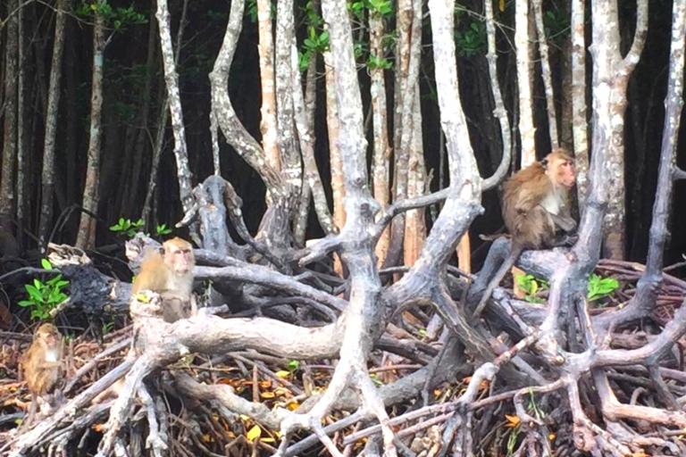 Ko Lanta: Small-Group Mangrove Tour By Long Tail Boat