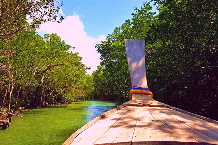 Ko Lanta: tour de manglares para grupos pequeños en bote de cola larga