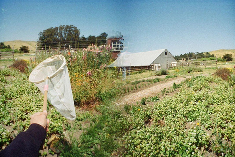 San Francisco: 5-Day California Coast, Vineyards & Wine Tour Double Occupancy Room