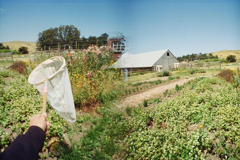 San Francisco: 5-Day California Coast, Vineyards & Wine Tour Double Occupancy Room