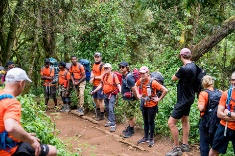 8-Day Kilimanjaro Lemosho Route Trek