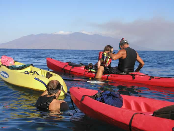 Kihei Kayaking Snorkeling And Surfing Combo Experience Getyourguide