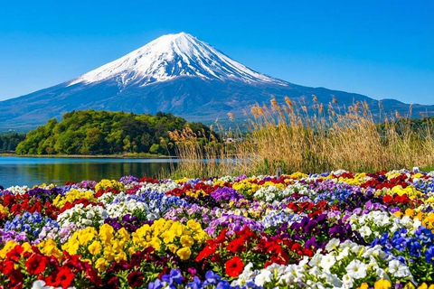 Tokyo: Mount Fuji & Pagoda & Oshino Hakkai & Lake Kawaguchi Route B : Mount Fuji & Hakone Private Customizable Day Trip