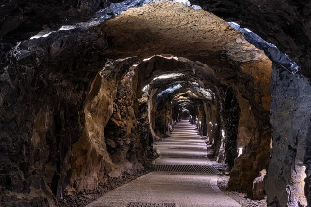 Dublino: Scogliere di Moher, grotta di Aillwee e tour dei rapaci