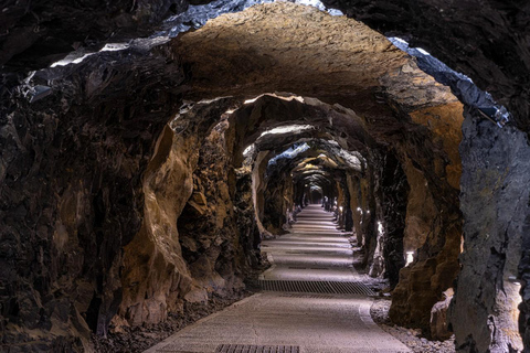 Da Dublino: Scogliere di Moher, crociera in barca e Grotta di Aillwee