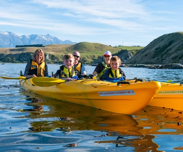 Kaikoura: Guided Family Kayaking Adventure