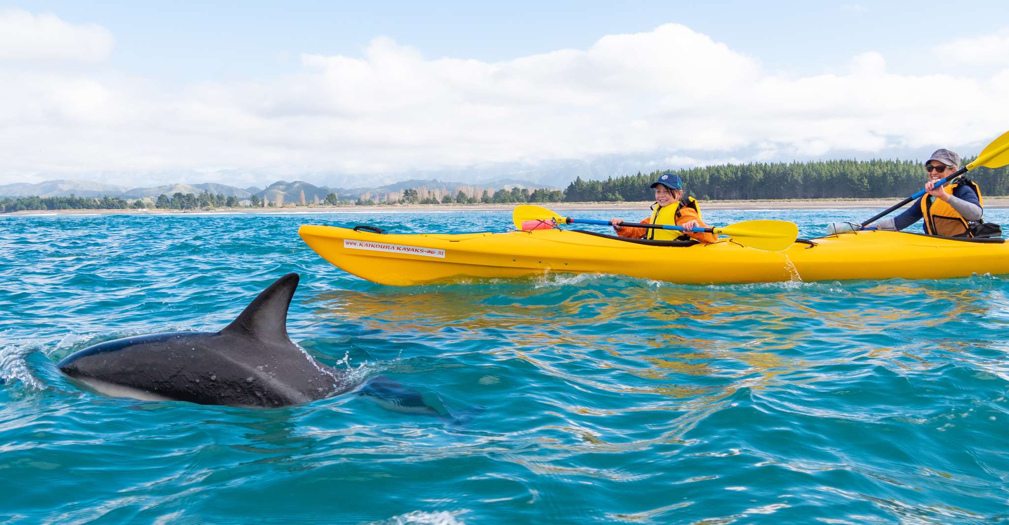 Kaikoura, Guided Family Kayaking Adventure - Housity