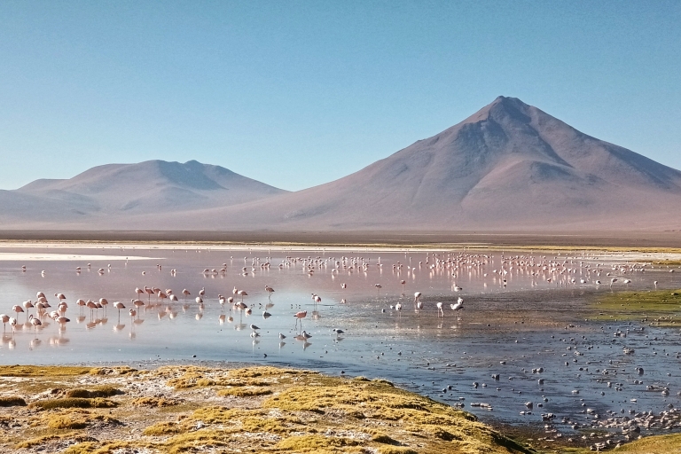 Depuis La Paz : 2 jours d'excursion à Uyuni en avion