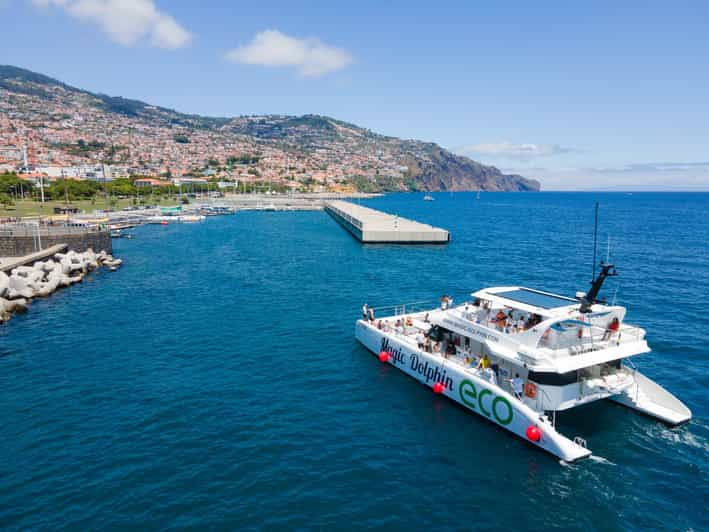 catamaran tour funchal