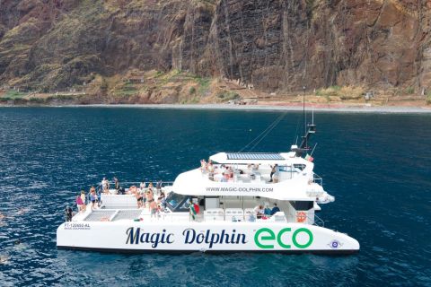 Da Funchal: crociera in catamarano con osservazione di delfini e balene