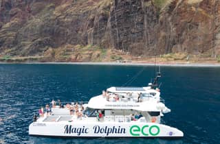 Ab Funchal: Ökologischer Katamaran Delfin-Walbeobachtung