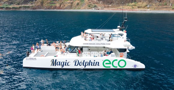 Ab Funchal: Ökologischer Katamaran Delfin-Walbeobachtung