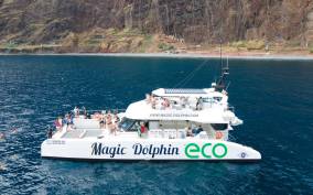 From Funchal: Dolphin and Whale Watching Catamaran Cruise